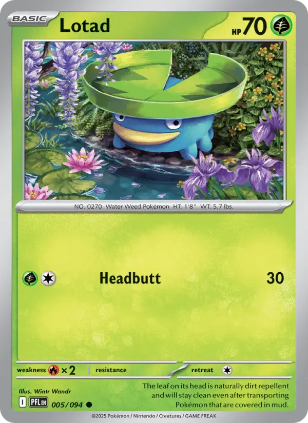 Lotad - 005/094 - English